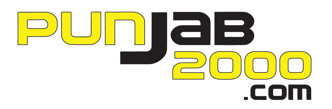 Punjab2000 logo